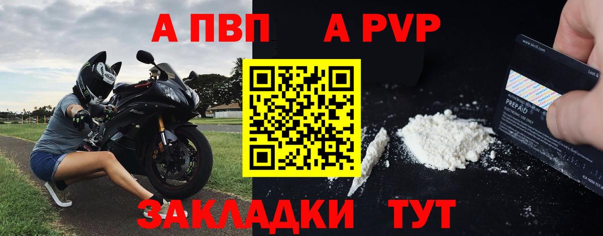 Альфа ПВП СК Владивосток