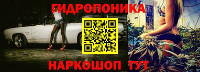 круглые Аргун