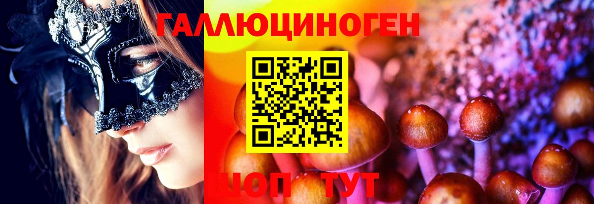 Галлюциногенные грибы ЛСД Владивосток